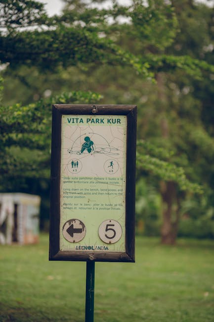 Digital library and downloadable study materials